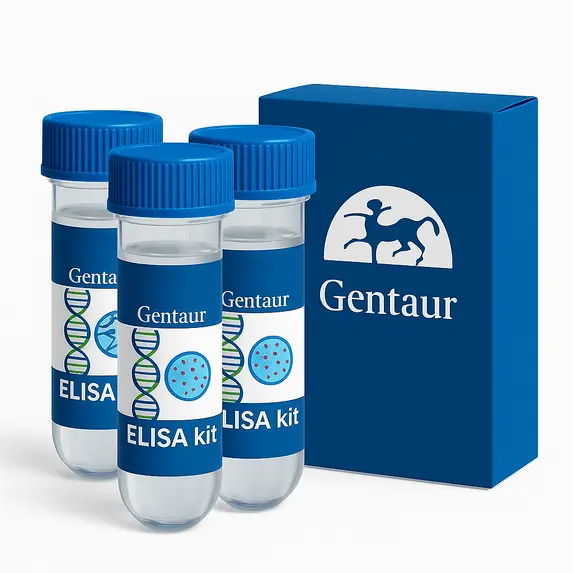 Rat Transferrin ELISA Kit 1 Kit (96 Wells) - 1 Kit
