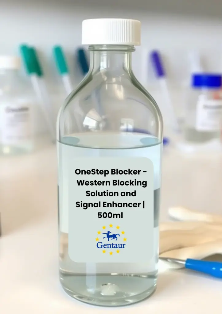OneStep Blocker - Western Blocking Solution and Signal Enhancer 