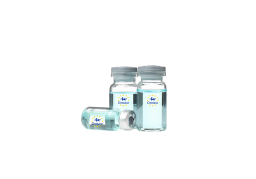 [GEN - PYT672-1mg] TGF b 1 Human, His